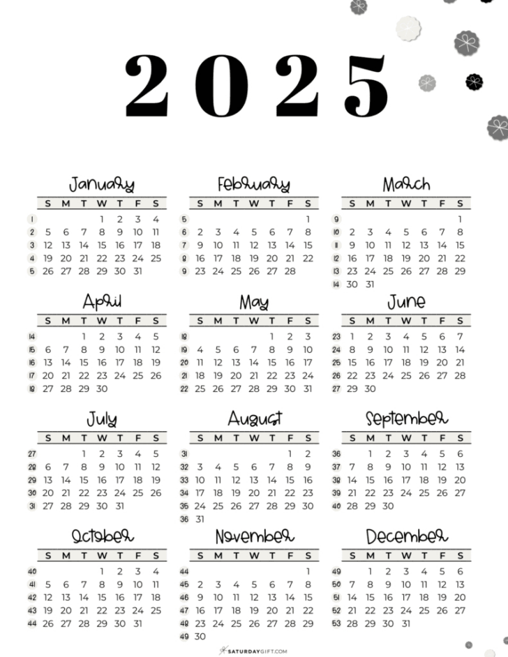 365 Day Calendar 2025 Printable