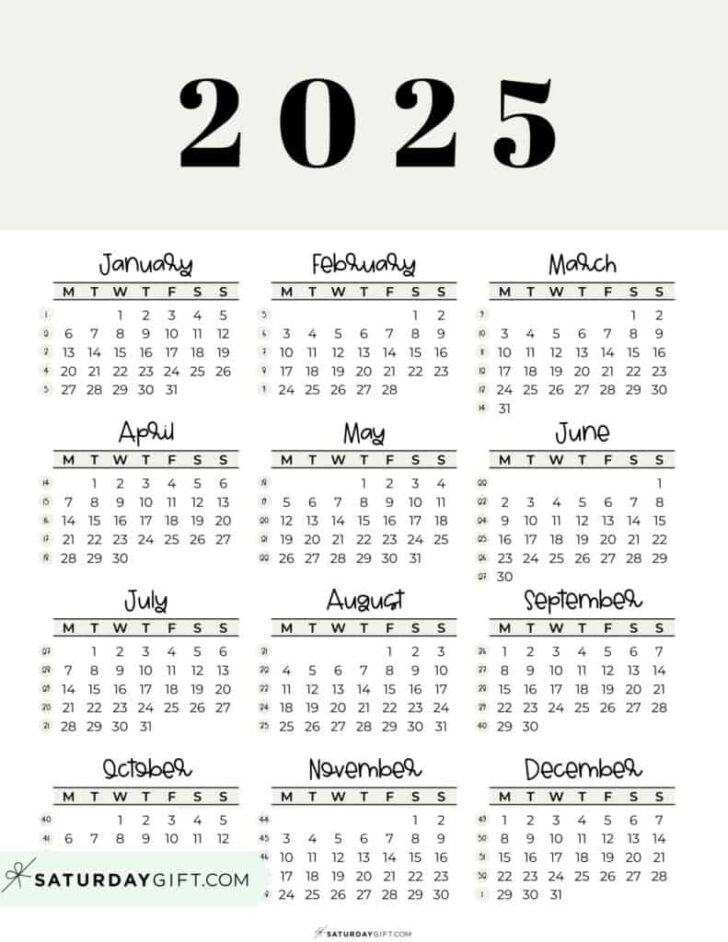 Printable 12 Week Calendar 2025