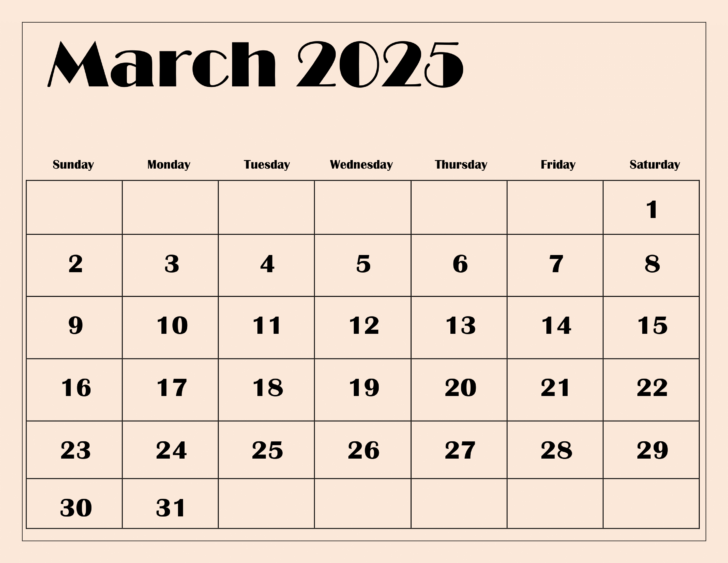 February and March 2025 Calendar Printable