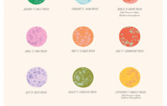 2025 Full Moon Calendar in June Full Moon Calendar 2025