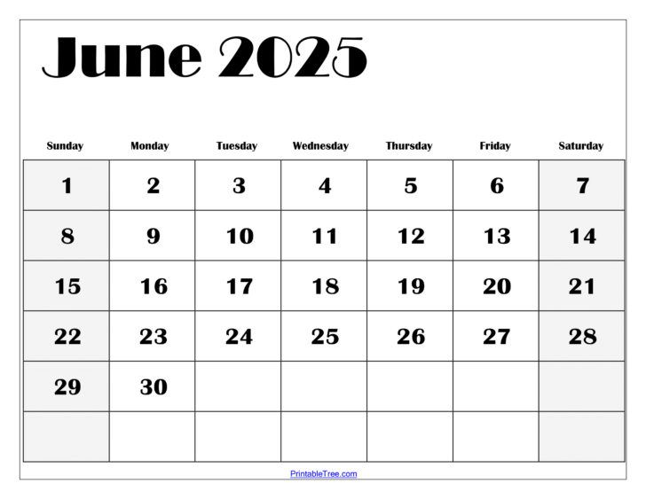 June Blank Printable Calendar 2025