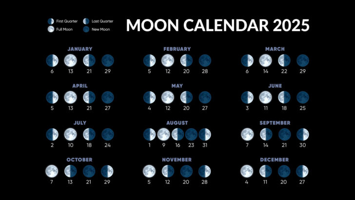 June Moon Phase Calendar 2025