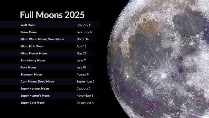 Full Moon Calendar June 2025