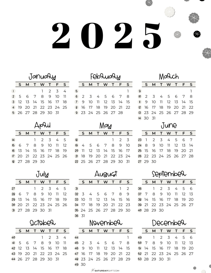 Show Me The Calendar For June 2025