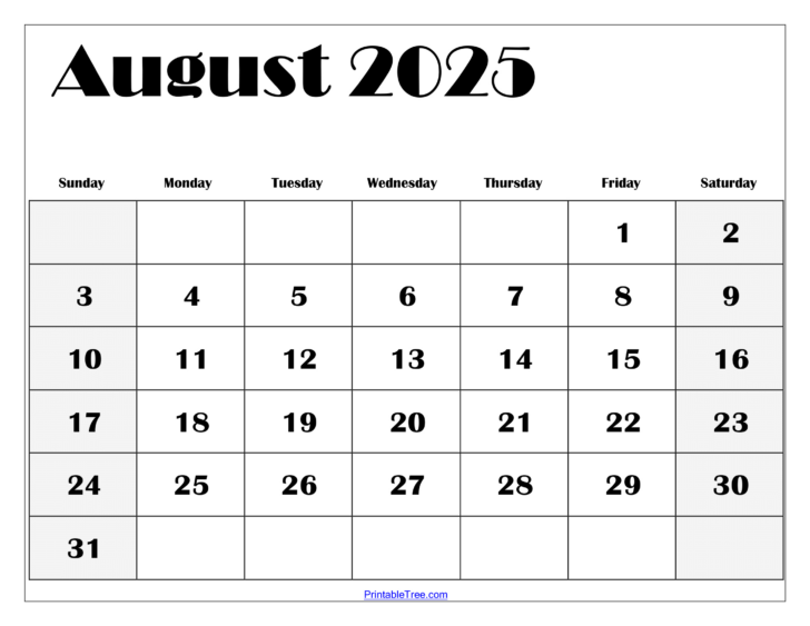 August Blank Calendar 2025