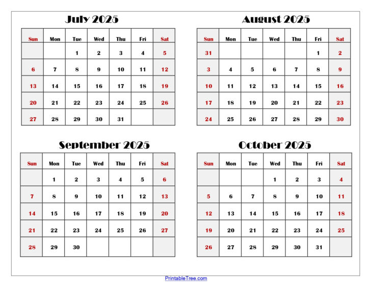 Printable August September October 2025 Calendar