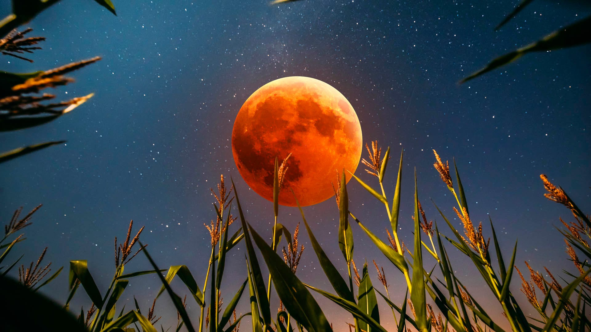 Wann Ist Vollmond September 2025 | Bedeutung Erntemond 2025 throughout Full Moon September 2025